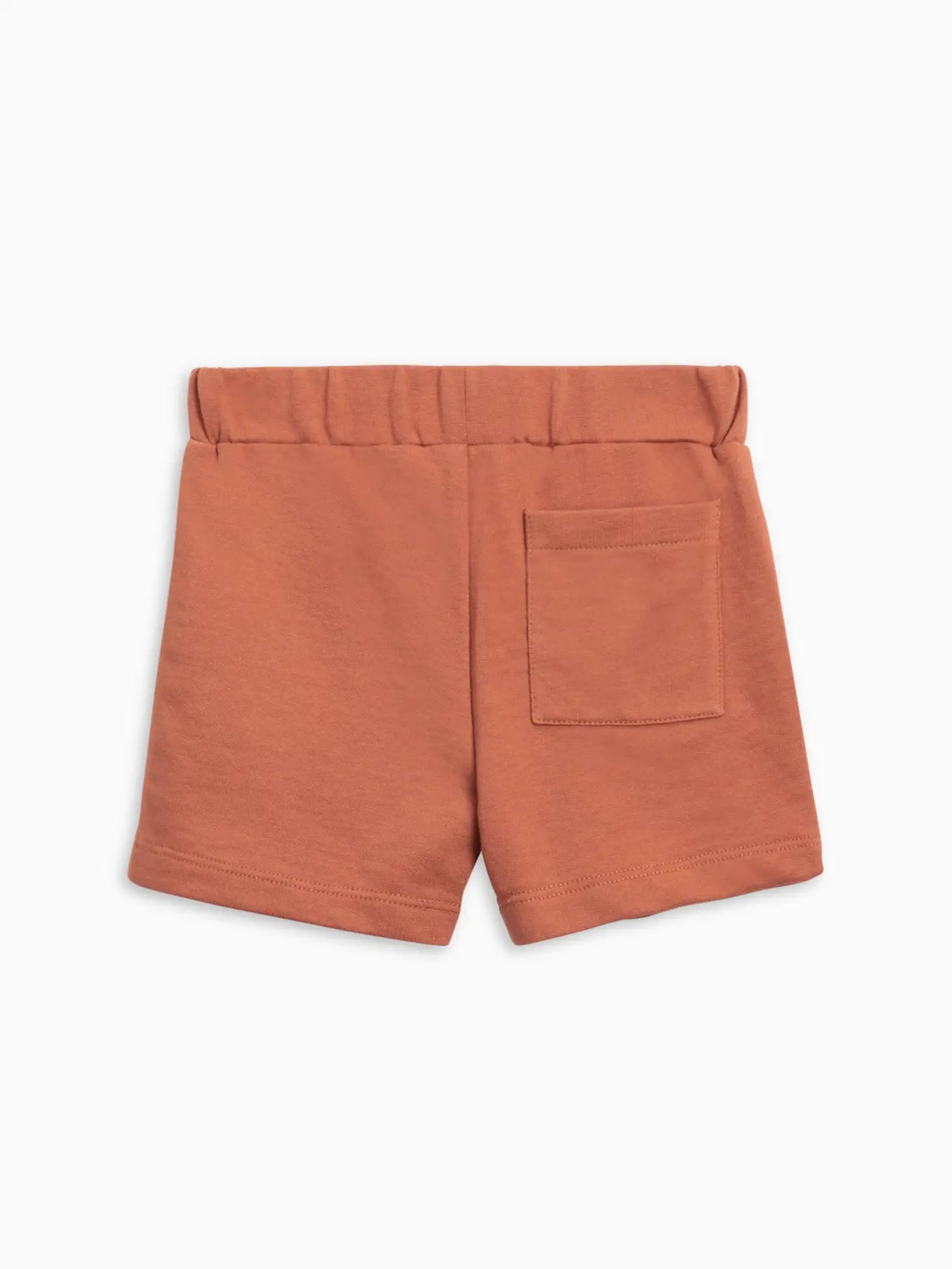 Frisco French Terry Shorts - Cedar