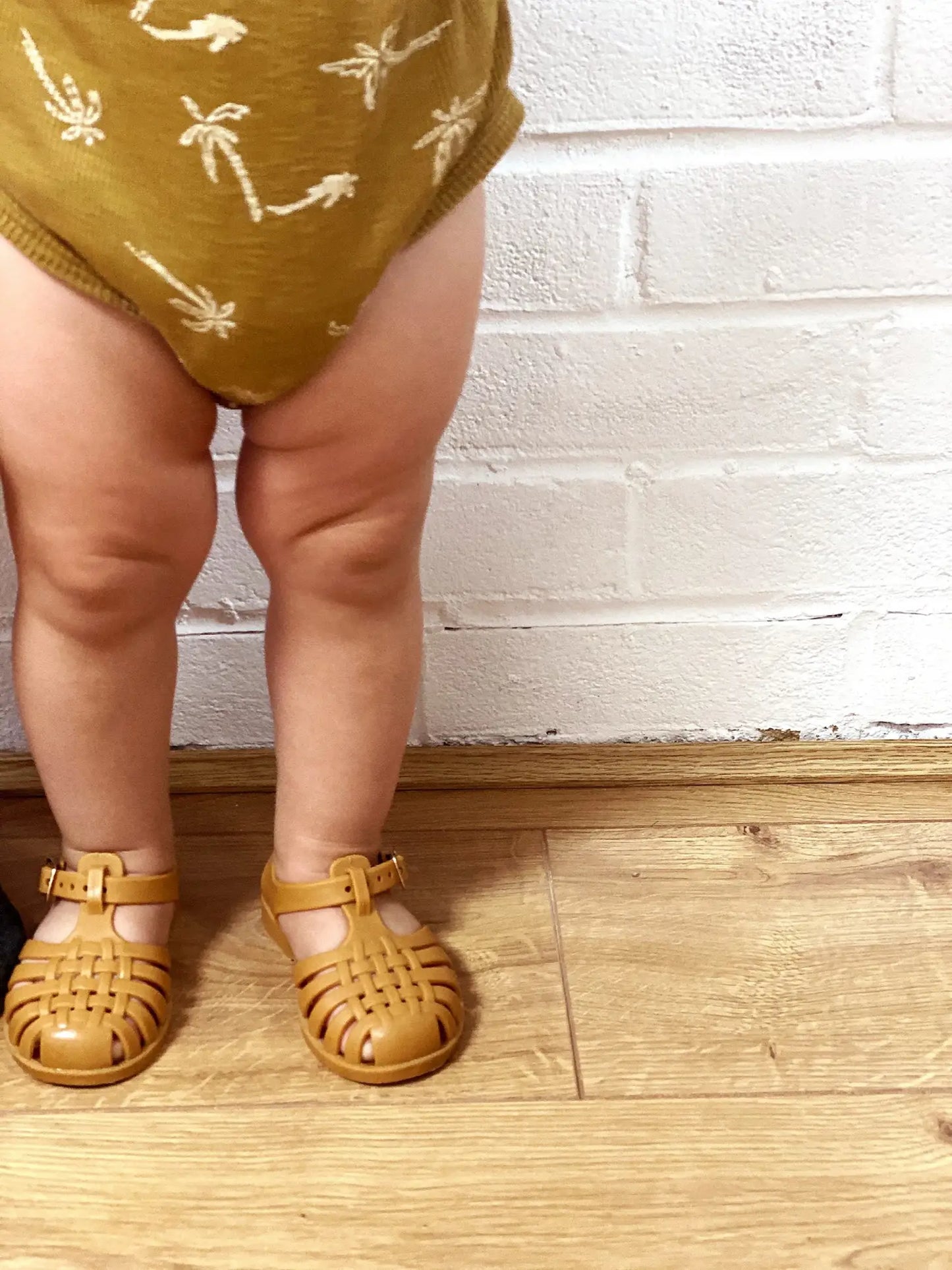 Shae Summer Jellies