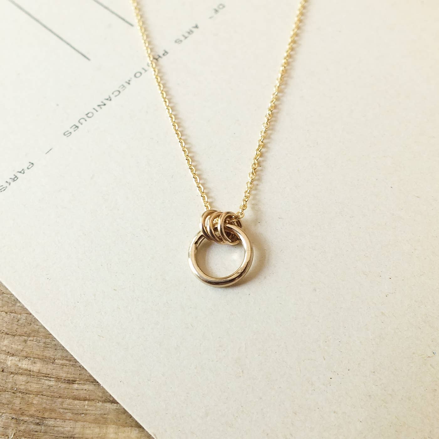 Gold Filled Family Circle Necklace