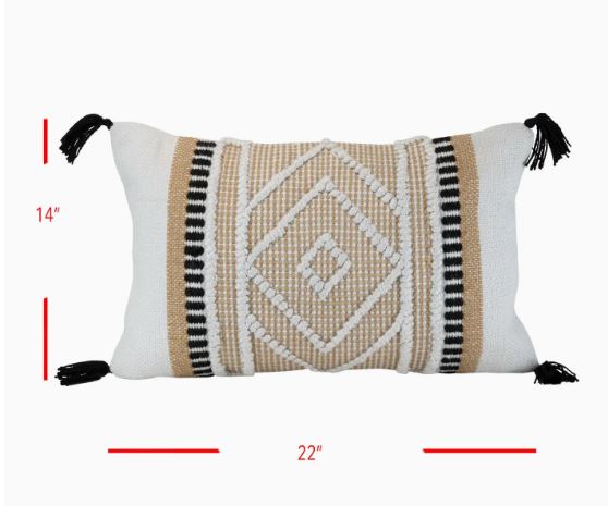 Indoor/Outdoor Handwoven Allie Pillow (Insert & Cover)